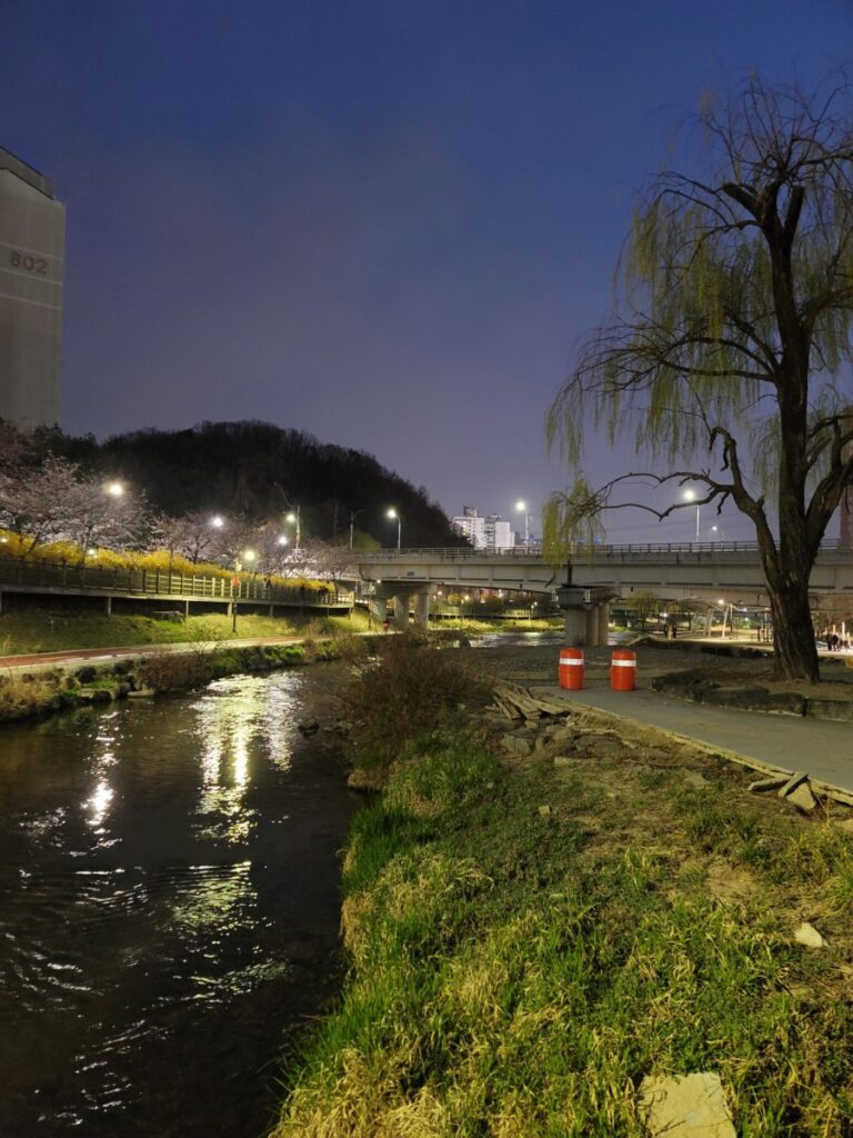A scenic shot of a clear, shallow stream flowing right next to a paved pedestrian walking path in a residential area.