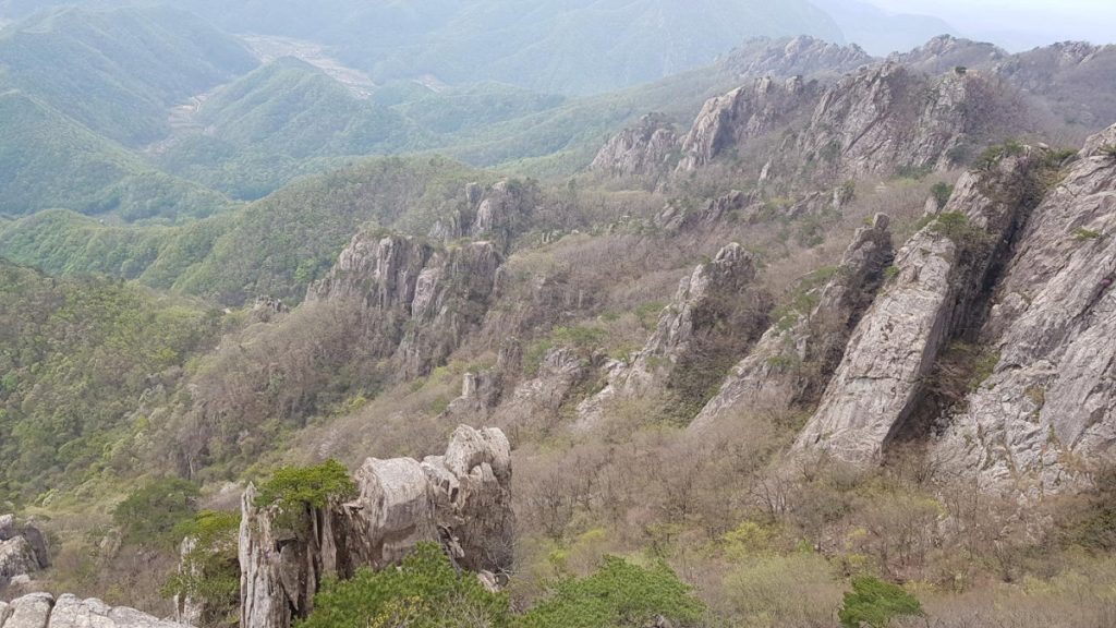 Spring foliage growing around the iconic rock formations of Daedunsan Mountain