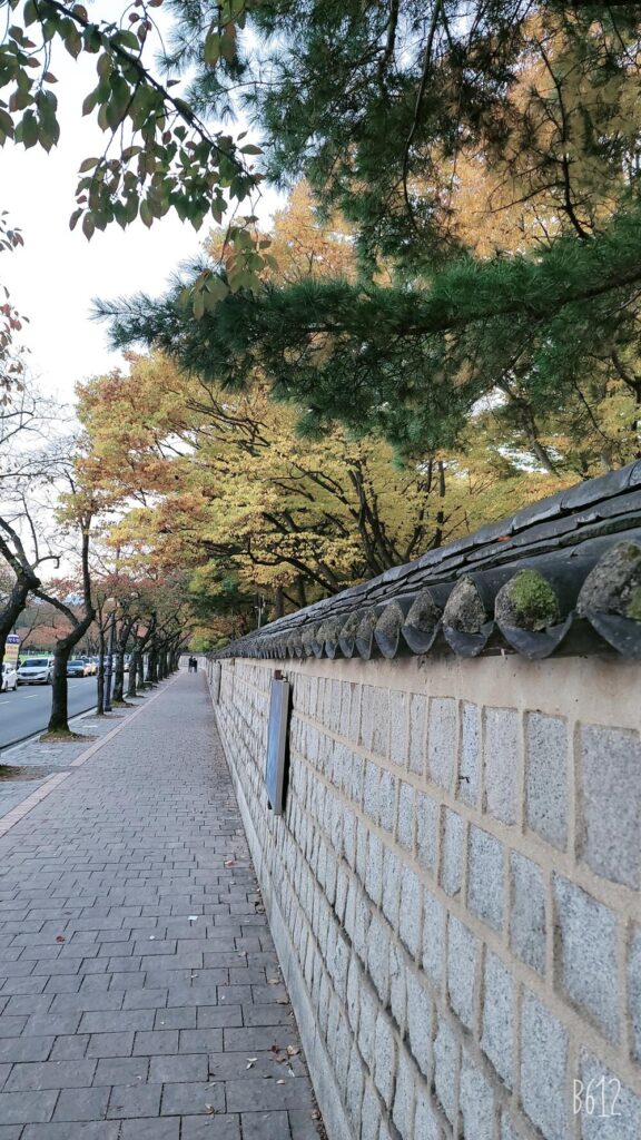 Scenic traditional Korean stone wall framed by vibrant autumn tree leaves.