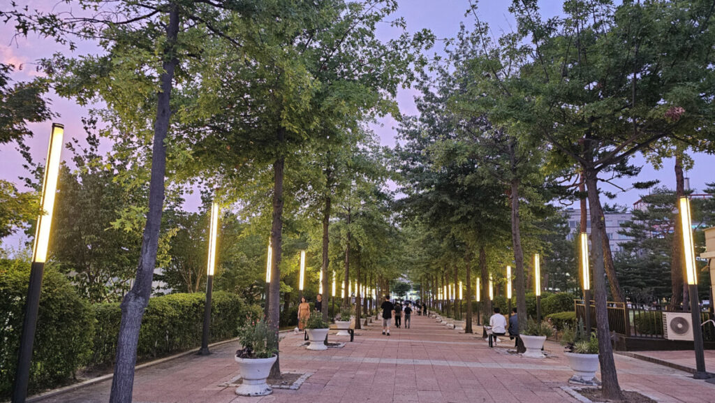 Cozy ambiance of a Korean neighborhood park at night with modern landscape lights illuminating the pathway.