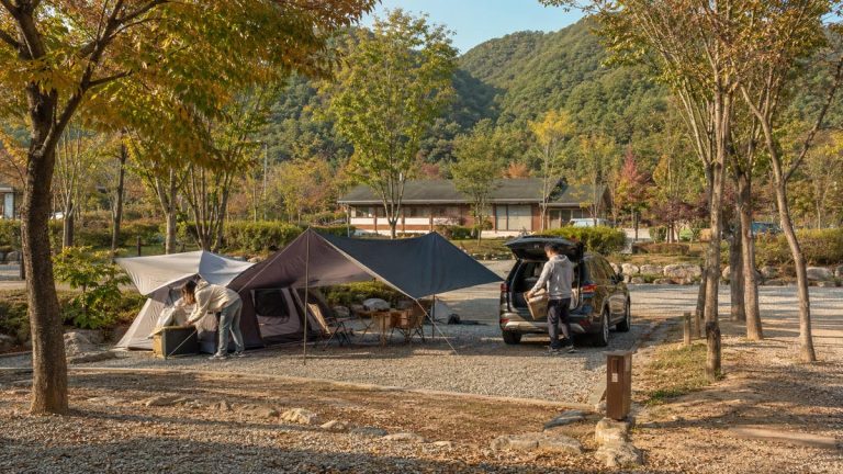 An organized Korean auto campground with a family tent and a car parked beside the campsite