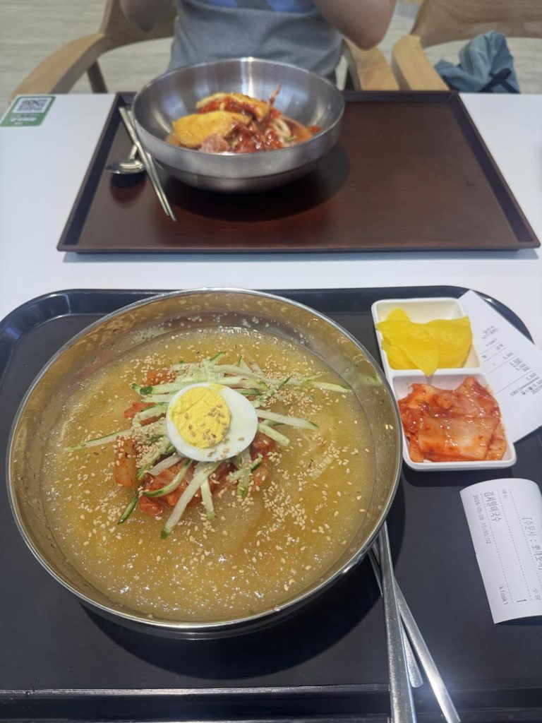 Korean naengmyeon served in icy broth with cucumber, sliced egg, sesame seeds, and kimchi.